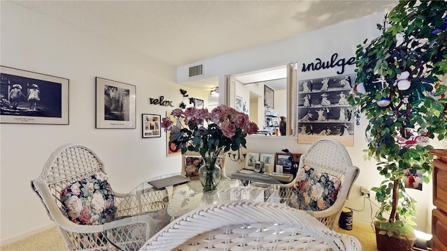 2205 Belleair Rd Unit A13, Clearwater, FL 33764 - living area featuring carpet and a textured ceiling