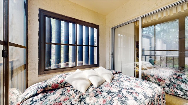 2205 Belleair Rd Unit A13, Clearwater, FL 33764 - bedroom featuring multiple windows and a closet