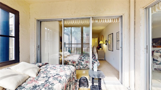 2205 Belleair Rd Unit A13, Clearwater, FL 33764 - bedroom featuring carpet and a closet