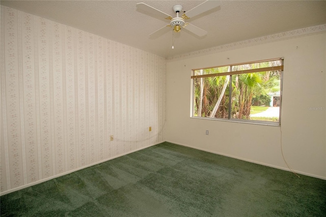 spare room featuring ceiling fan, carpet floors, and a textured ceiling