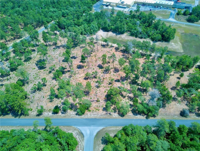 SW 36th Avenue Rd, Ocala FL, 34473 land for sale