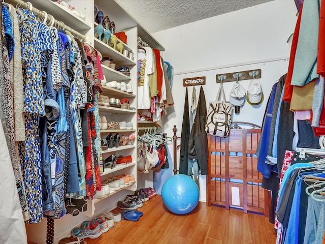 spacious closet with hardwood / wood-style flooring