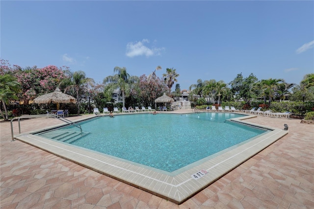 view of pool featuring a patio