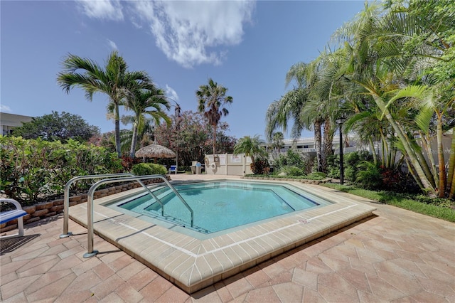 view of pool with a patio