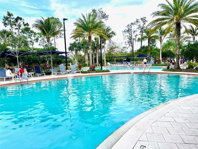 view of swimming pool featuring a patio area