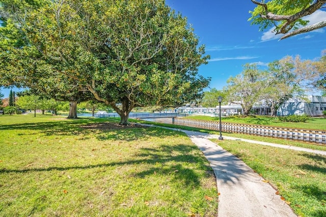 view of property's community with a yard