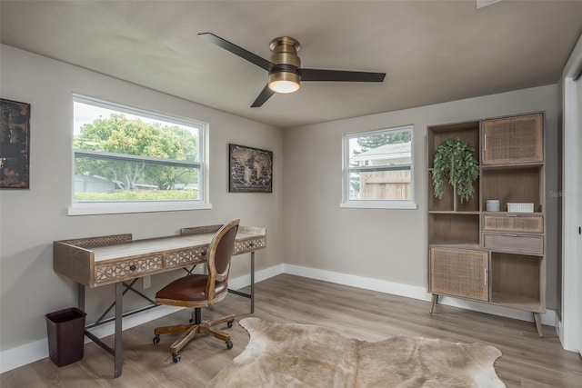 office area featuring wood-type flooring and ceiling fan