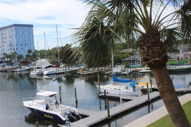 dock area with a water view