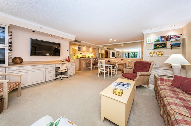 living room featuring a textured ceiling and light colored carpet