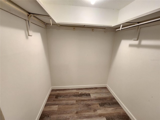 spacious closet featuring dark hardwood / wood-style flooring