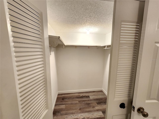 walk in closet featuring wood-type flooring