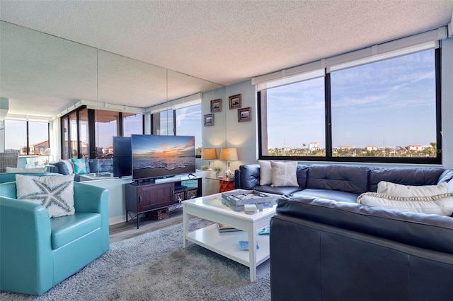 living room with a wealth of natural light and a textured ceiling