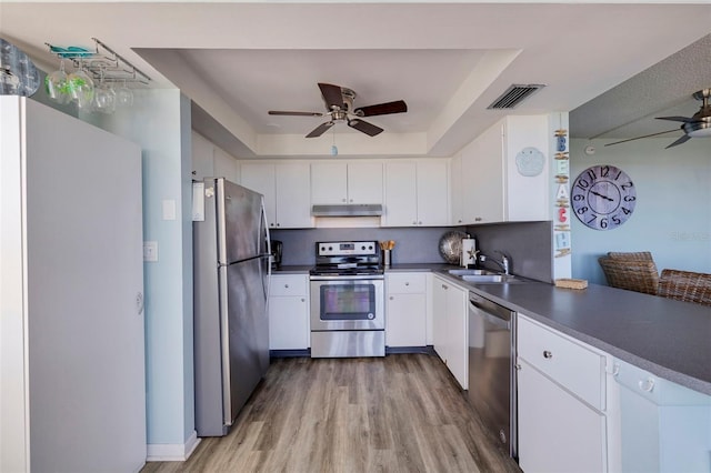kitchen with visible vents, under cabinet range hood, a tray ceiling, appliances with stainless steel finishes, and ceiling fan