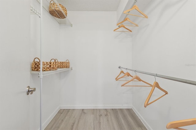 spacious closet with light wood-type flooring