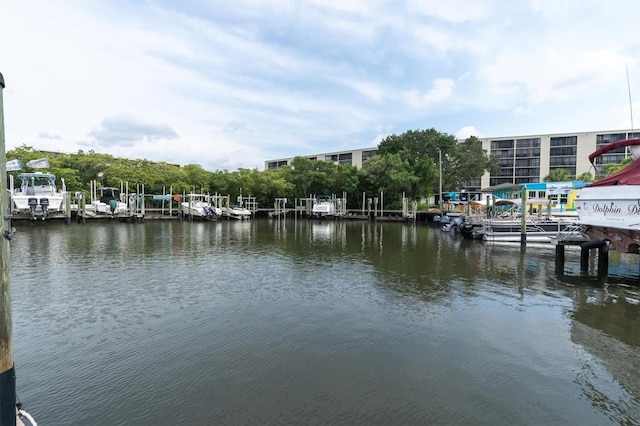 dock area with a water view