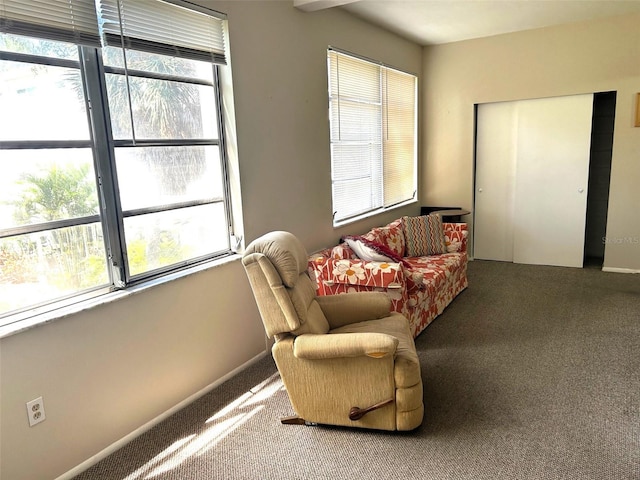 living area featuring a healthy amount of sunlight and carpet