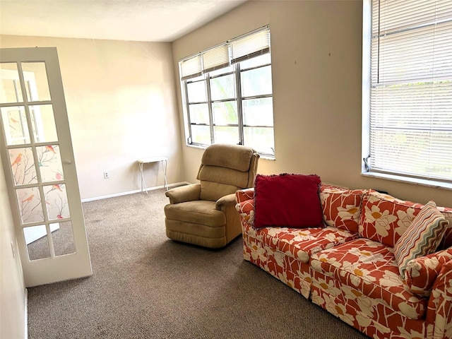 carpeted living room featuring a wealth of natural light