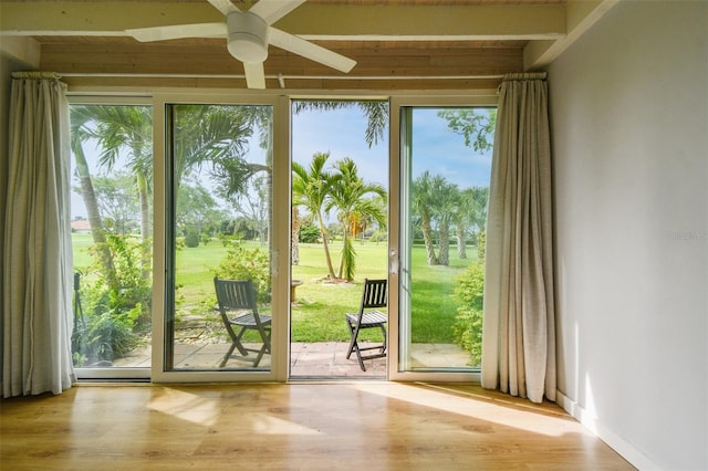 doorway featuring ceiling fan, a healthy amount of sunlight, and light hardwood / wood-style floors