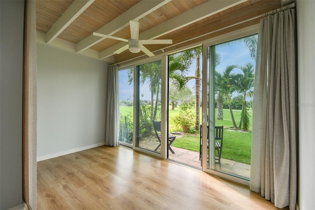 doorway with floor to ceiling windows, ceiling fan, wooden ceiling, beamed ceiling, and light hardwood / wood-style floors