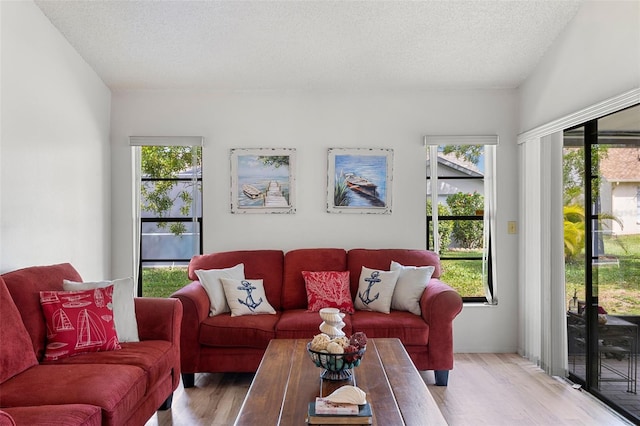 living room featuring a textured ceiling, a healthy amount of sunlight, and light wood-type flooring