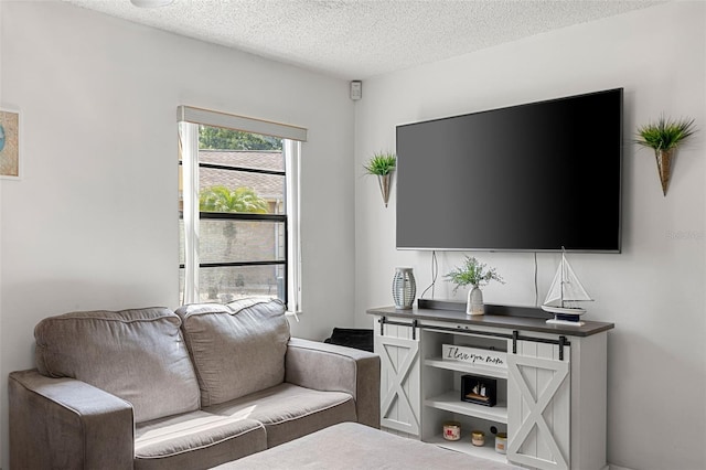 living room with a textured ceiling