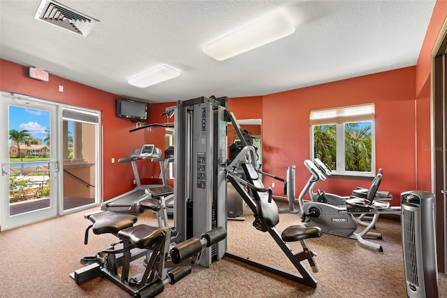 exercise room featuring carpet