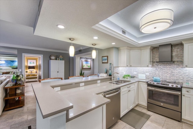 kitchen with wall chimney exhaust hood, sink, backsplash, a tray ceiling, and stainless steel appliances