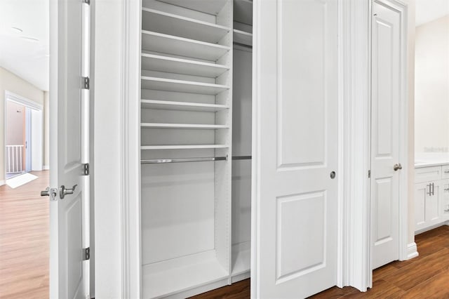 view of closet