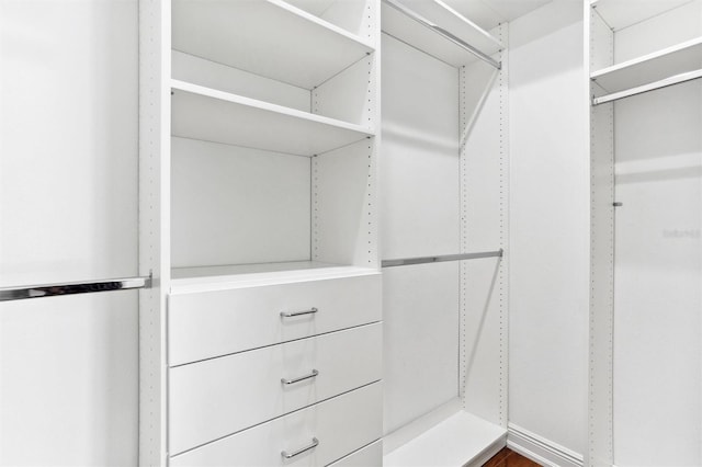 view of walk in closet