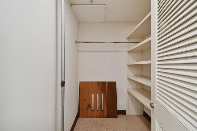 view of spacious closet