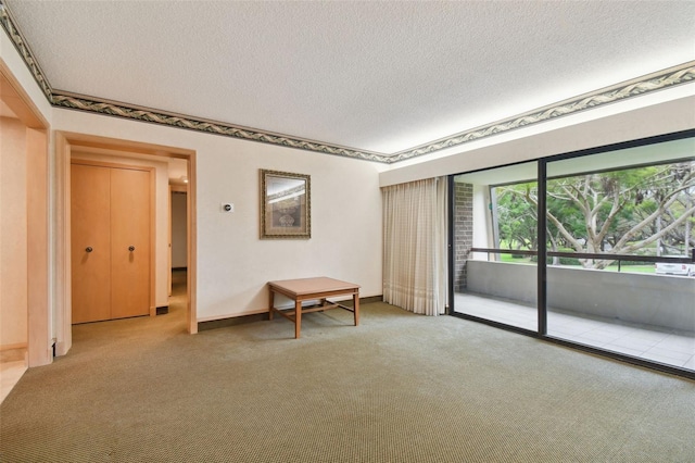 spare room with light carpet and a textured ceiling