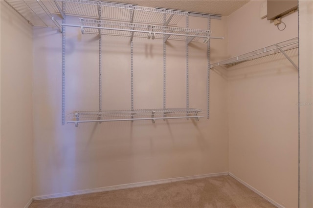 walk in closet featuring carpet floors