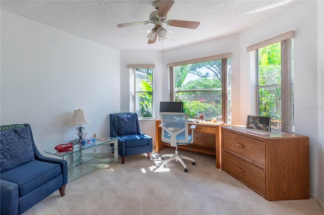 carpeted office featuring ceiling fan, a textured ceiling, and plenty of natural light