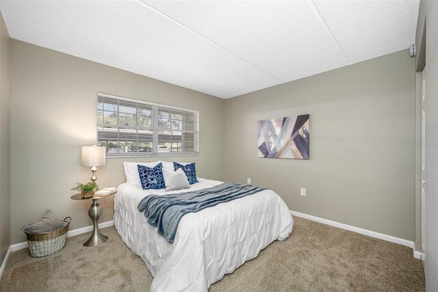 bedroom with carpet floors