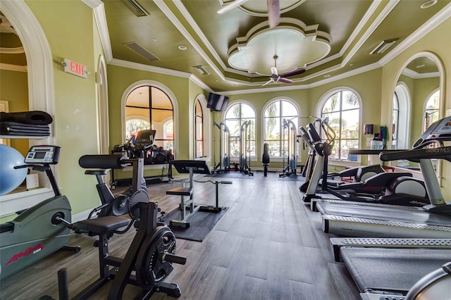 workout area with hardwood / wood-style floors, crown molding, and a raised ceiling