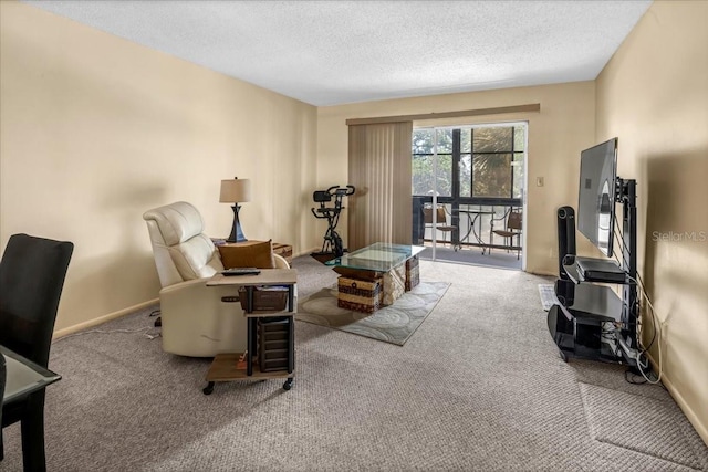 carpeted living room with a textured ceiling