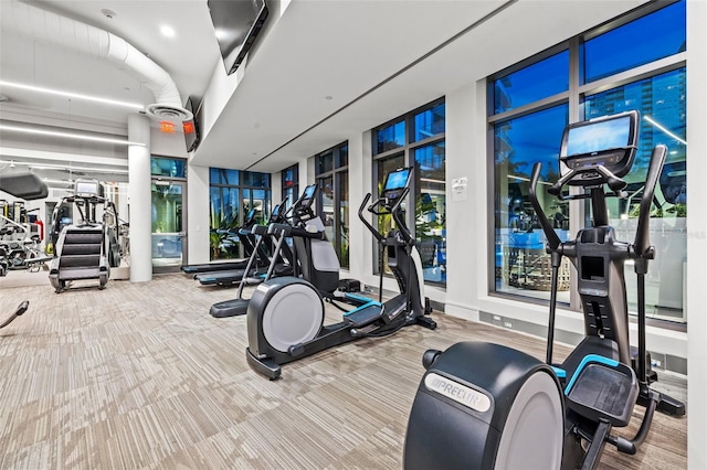 workout area featuring light carpet