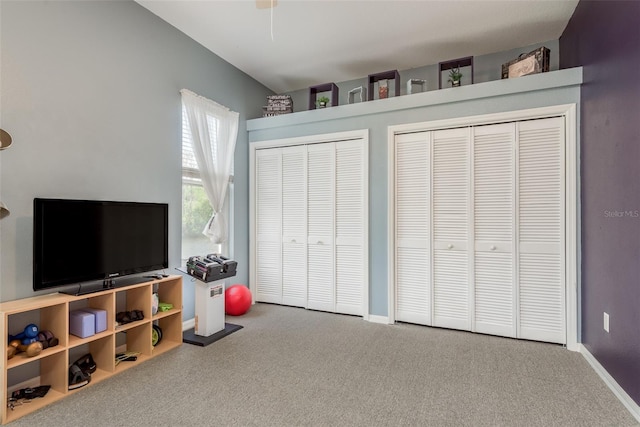 carpeted bedroom with two closets