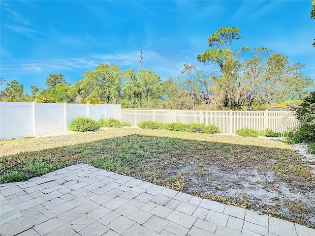 view of yard with a patio area