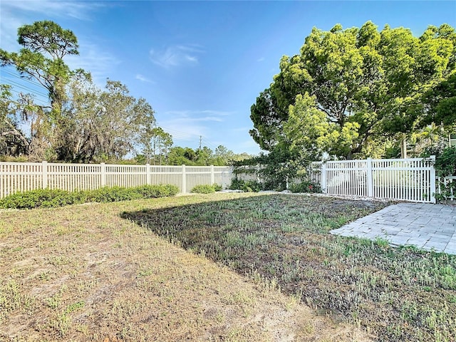 view of yard featuring a patio area