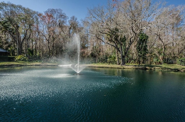 water view