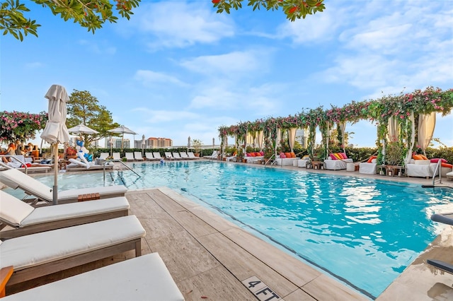 view of swimming pool with a patio