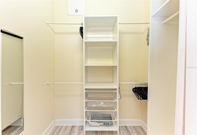 spacious closet featuring light wood-type flooring