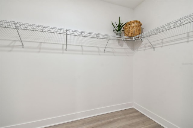 walk in closet with light wood-type flooring