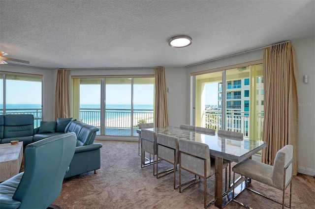 carpeted dining space with a water view and a textured ceiling