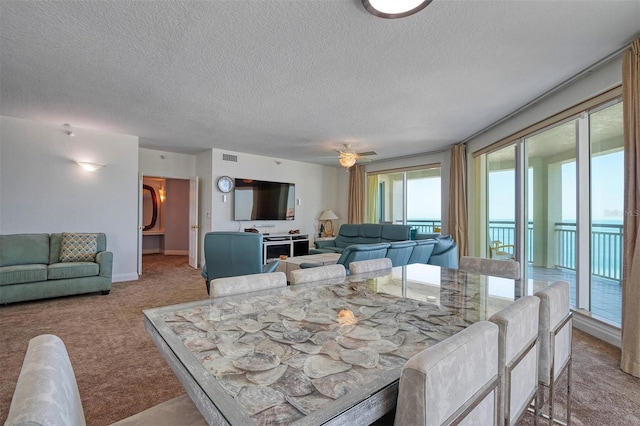 interior space featuring ceiling fan and a textured ceiling