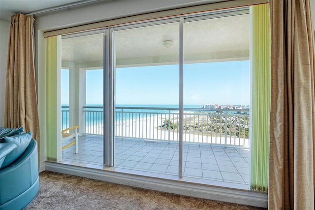 entryway with light colored carpet and a water view