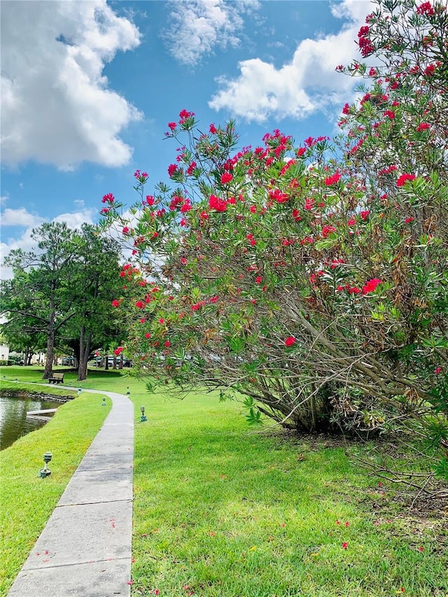 surrounding community featuring a lawn