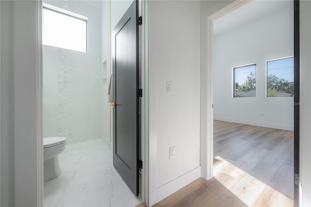 bathroom with hardwood / wood-style floors and toilet