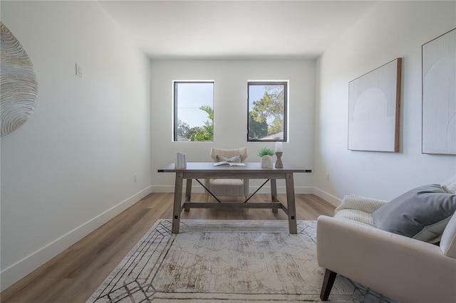 office area featuring wood-type flooring